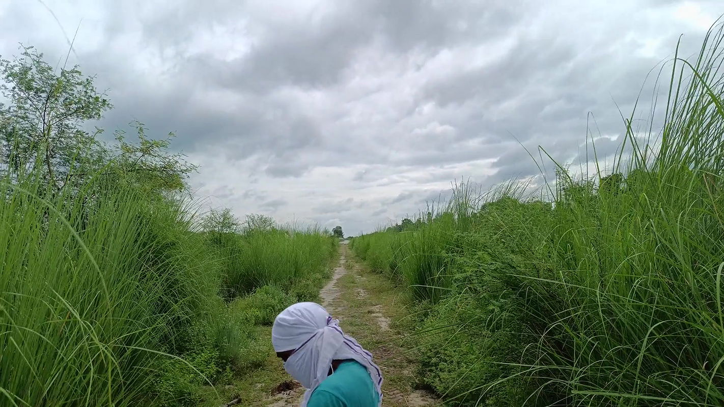 The brother-in-law took the sister-in-law to the canal and almost her very fiercely and then was caught