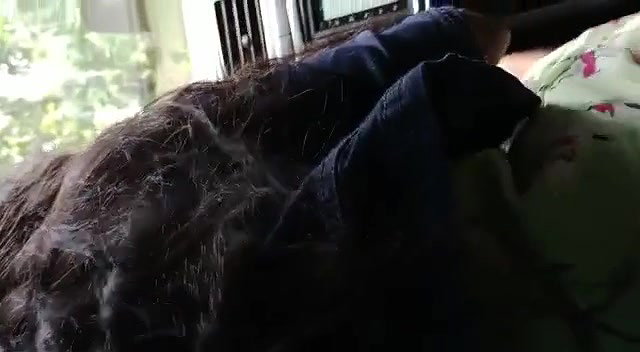 Desi Lover Fucking in Car