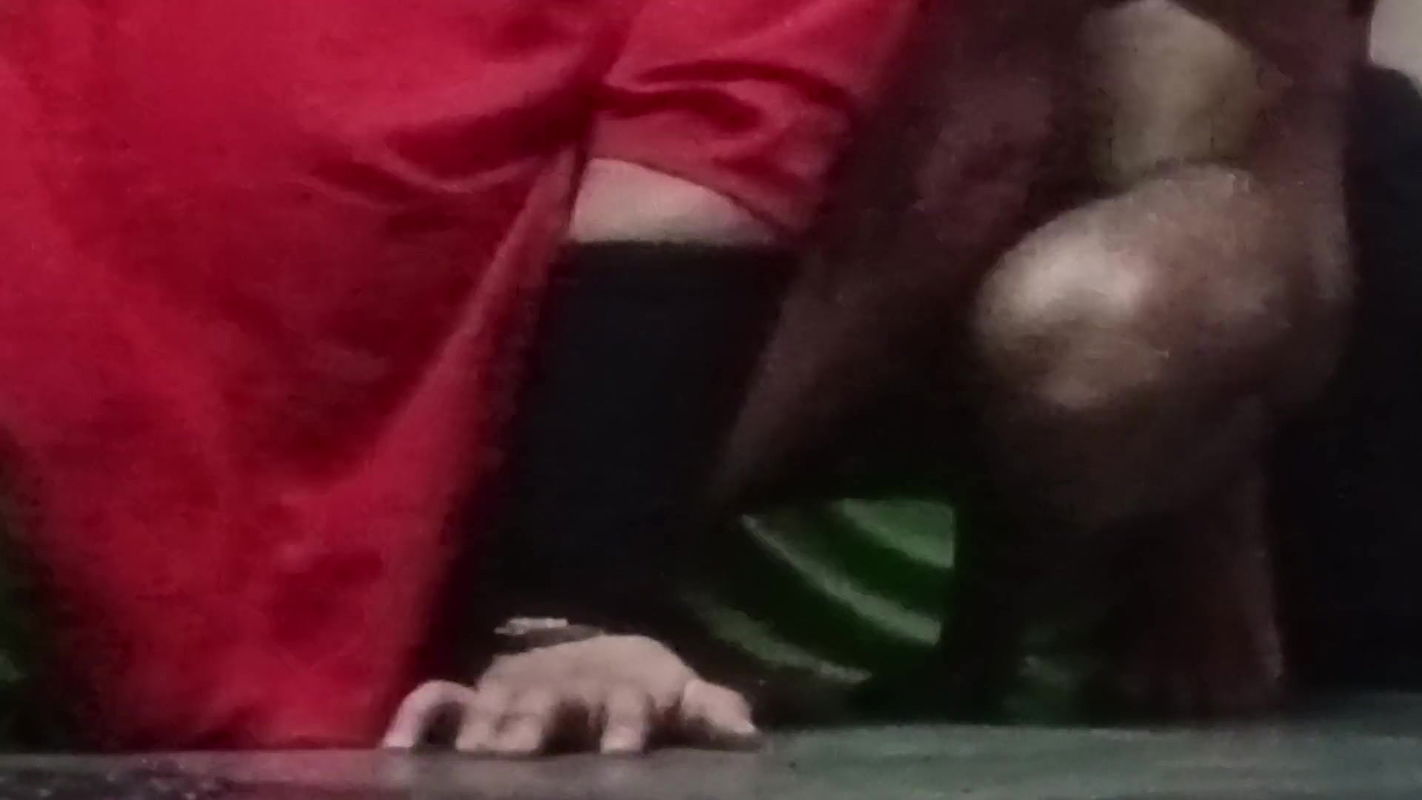 Fucking college students and teacher old year teacher women sexy video xxx