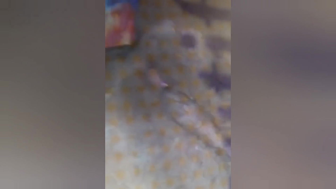 I fucked my younger step sister in the launch cabin