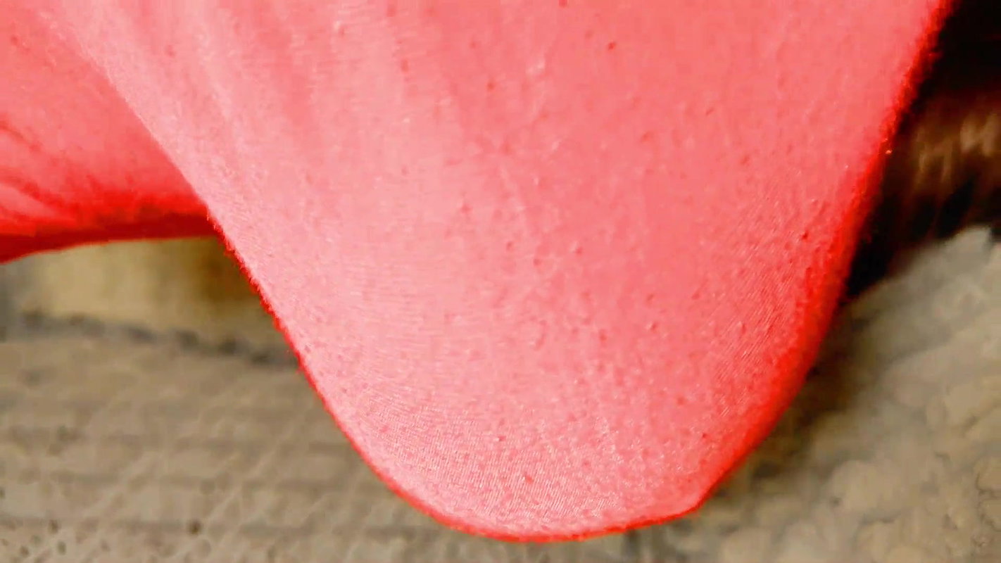 Nice ass stepsister gets from stepbrother xxx porn