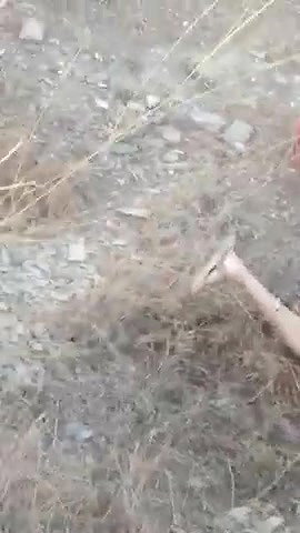 Hot beautiful bhabi outdoor fucking