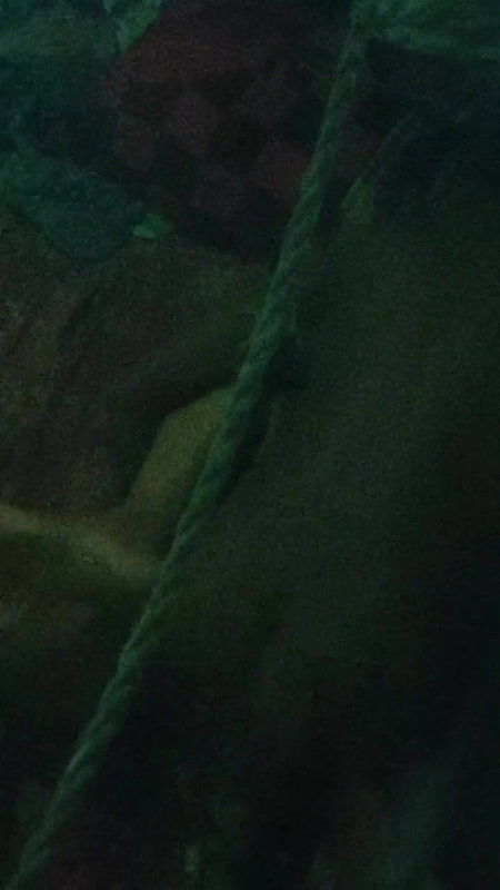 Desi Couple fucking Captured By Neighbour