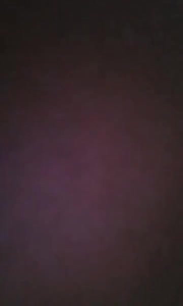 Desi Bhabhi Riding Lover Dick wid Hindi Audio