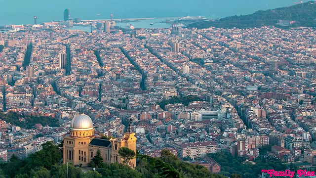 myfamilypies family tree long