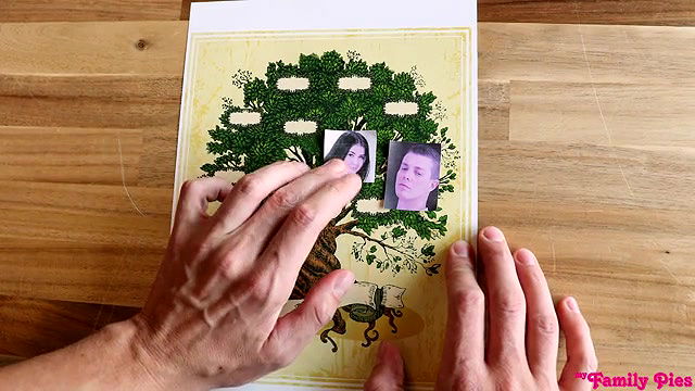 myfamilypies family tree long