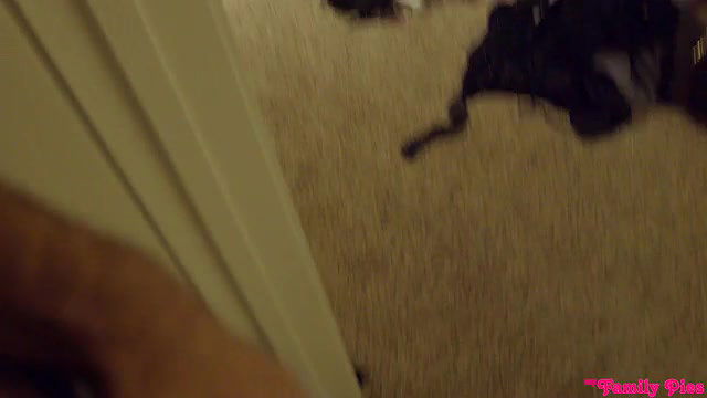 myfamilypies new years family fuck long