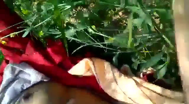 Shaved pink pussy in jungle