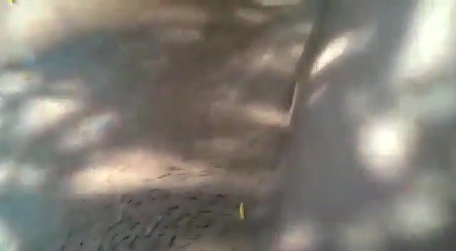 Shaved pink pussy in jungle