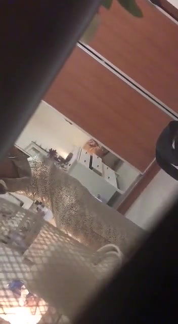 She was changing, secretly captured