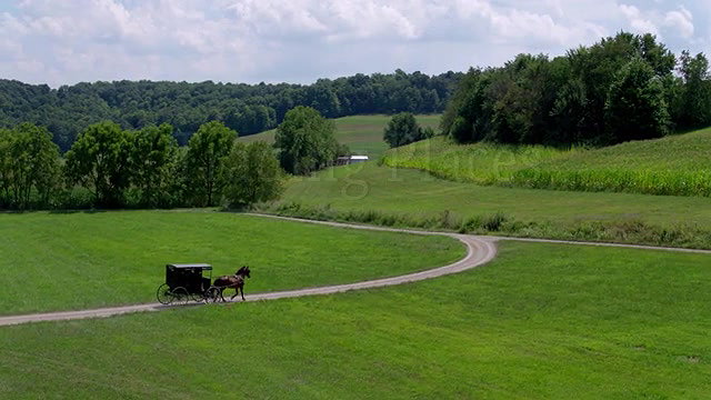 nubileset being amish trading places long