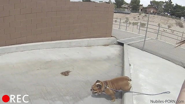 nubilesporn bounty hunters alexa nova long