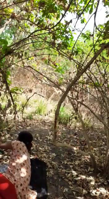 Fucking In jungle, outdoor