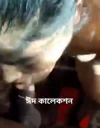 Bhabi Bj and Fucking With Moan