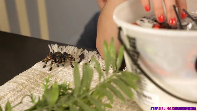 stepsiblingscaught is this a treat or a trick long