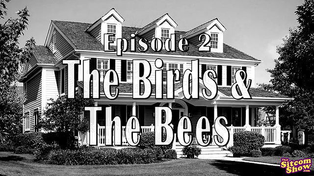 thatsitcomshow leave it to moms beaver birds and the bees bw long