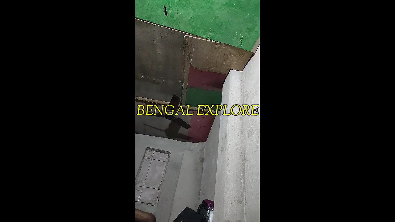Sonagachi fucking video