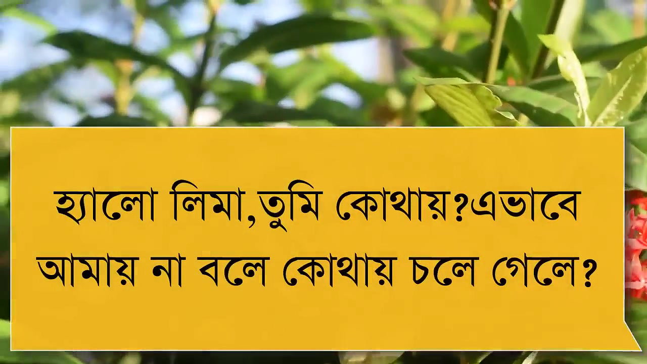 Bengali sexy love story