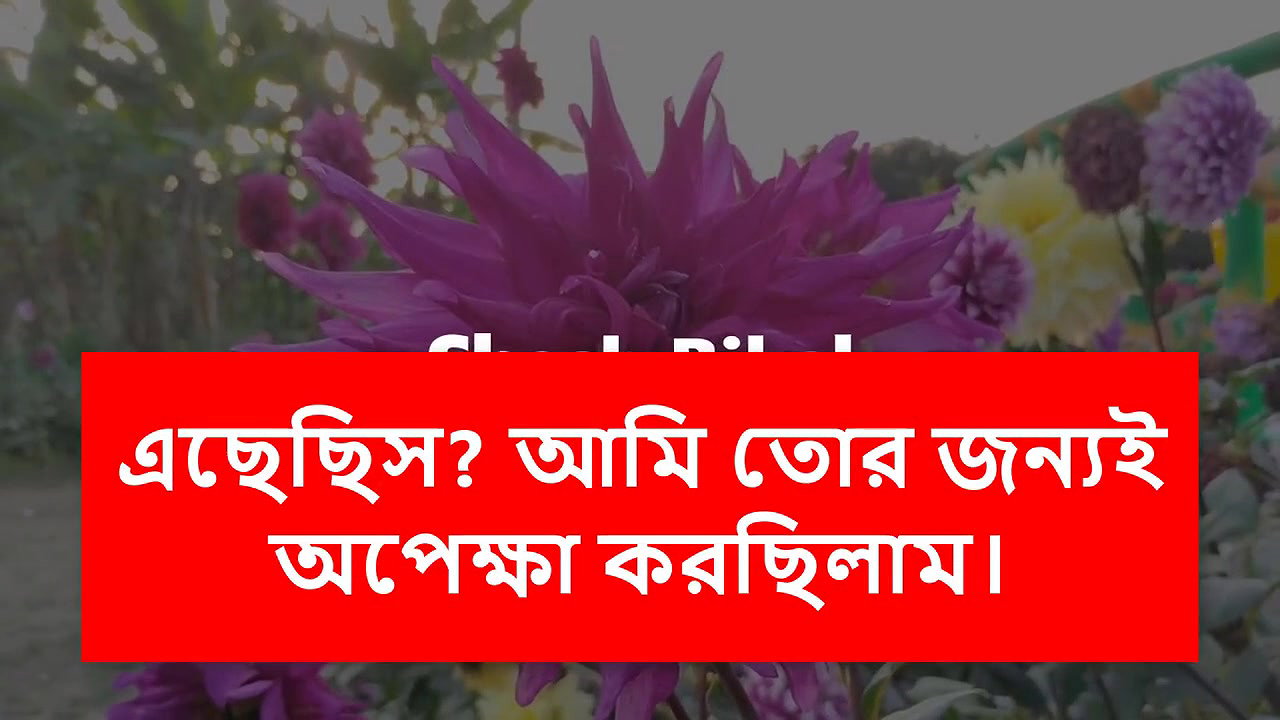 Chudachudi new story
