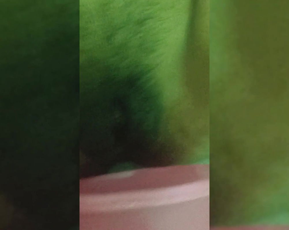 Neighbour Fucks Tight Trimmed Pussy Desi Aunty Monica While Peeing