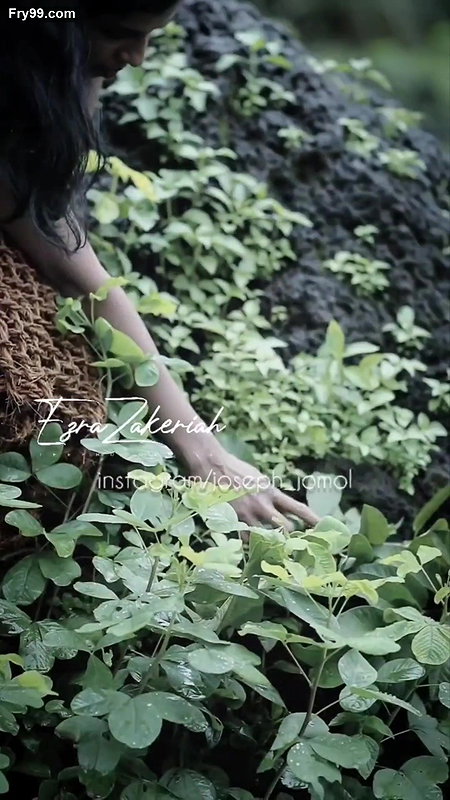 Mallu Reshmi Nair lookalike instagram reels cut