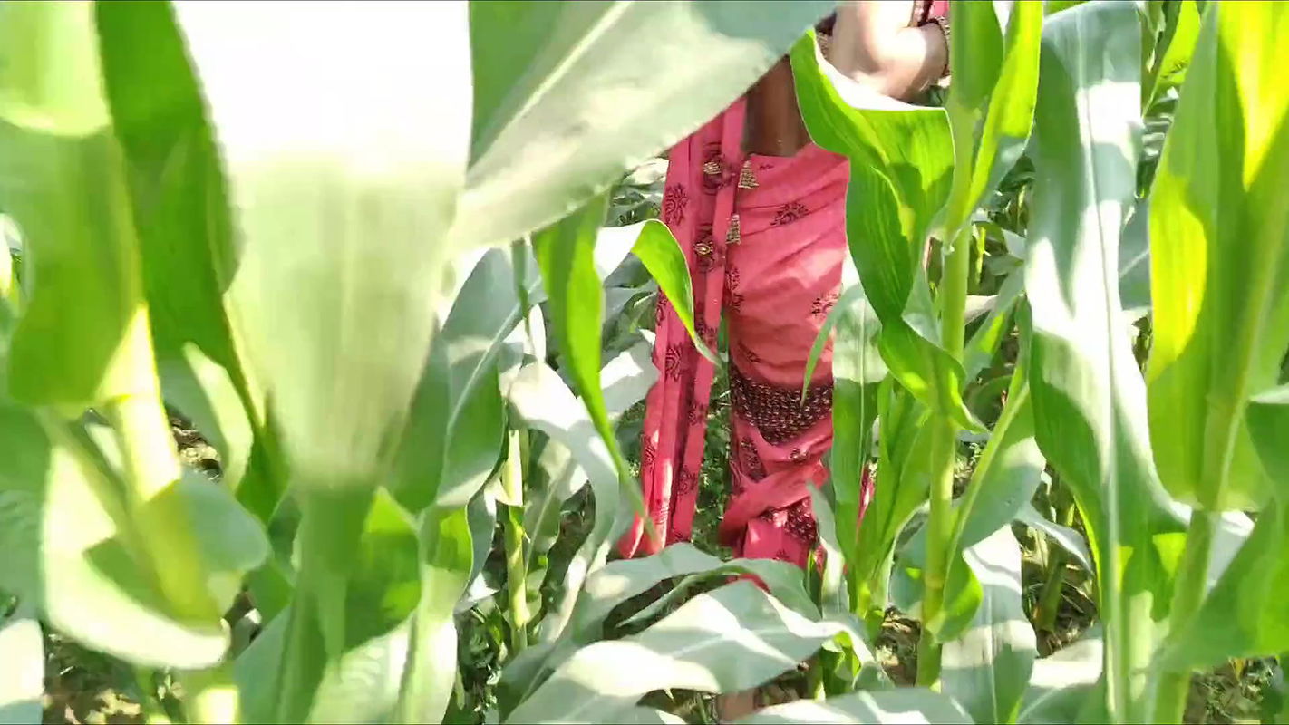 Indian Village Bhabhi Outdoor Vlog Enjoyed With Boobs Showing And Fingerings Indian Red Saree Remove Enjoyed Bhabhi Pregent