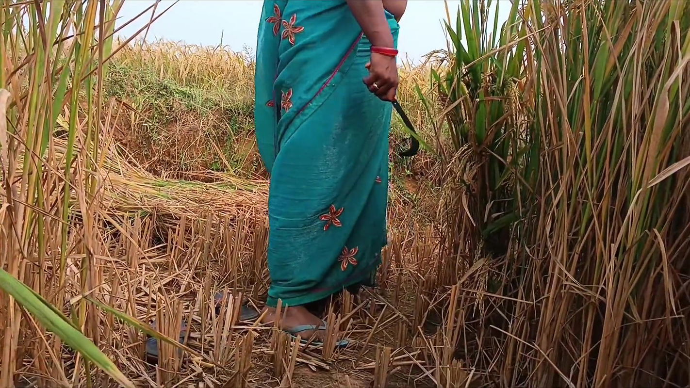 For the first time, I had a lot of fun fucking my sister-in-law alone in the paddy fields
