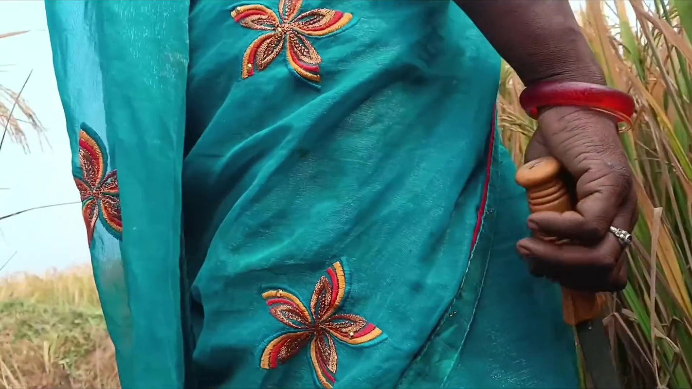 For the first time, I had a lot of fun fucking my sister-in-law alone in the paddy fields