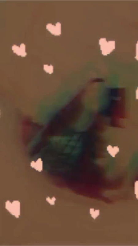 Hot babe 30 clips zip