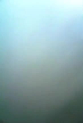 Sucking dick inside car