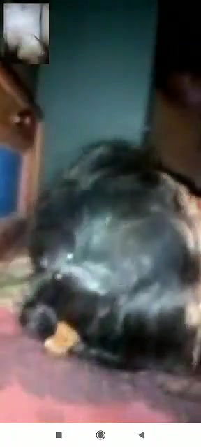 Couples fucking on vc