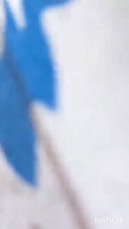 Mallu Hot Back Shot Video