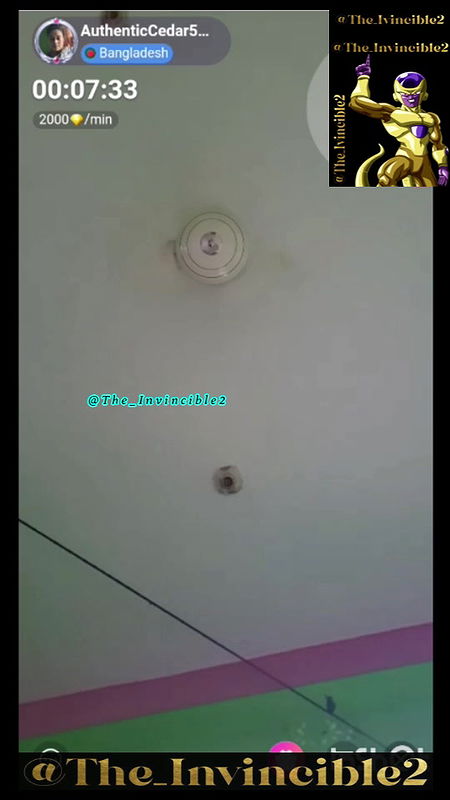 Authentic Cedar f 4.40