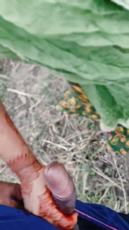 Desi Indian Bhabhi Fucked Outdoors