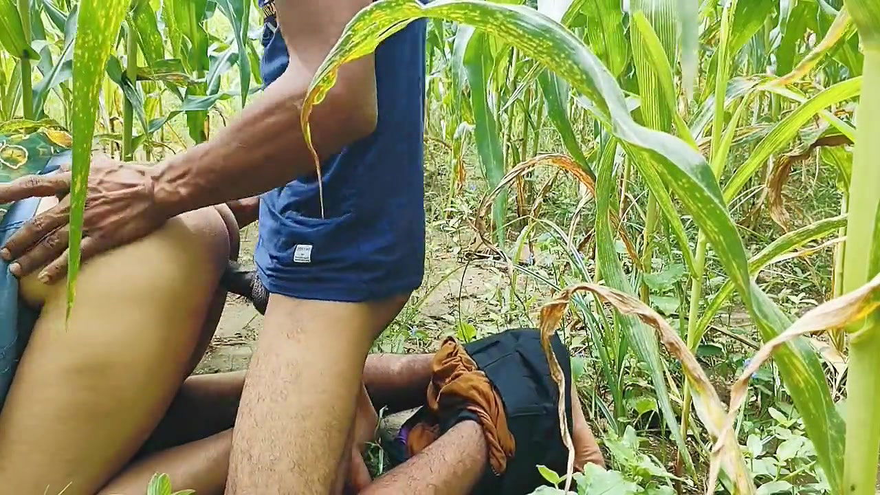 Desi Indian Sister-in-law Liked Jiju’s Black Thick Cock in the Corn Field and Got Fucked