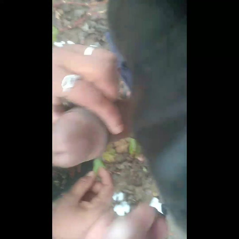 She Masturbated My Fat Cock in the Field