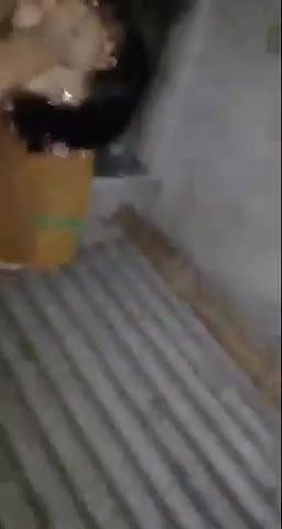 Shy Village bhabhi shaved pussy fucking, devar want to expose her