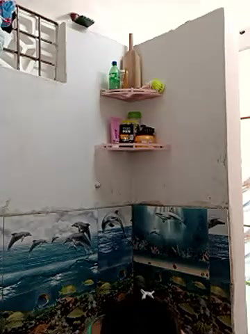 Stripchat-Public.Show-c-Best-Couple-2025.06.03.043149