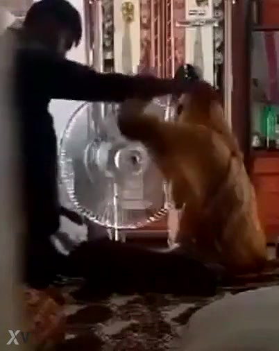 Desi village bhabi spy video