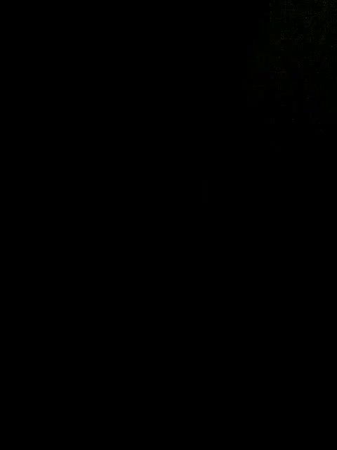 Desi Bhabhi Pussy Licking and Fucked