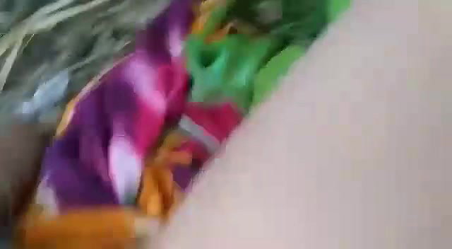 Seal break in jungle