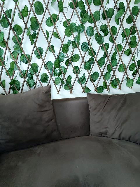 Stripchat-Public.Show-f-Bold-Cat-2025.05.21.224123