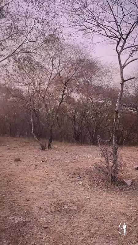 video_2025-06-01_09-27-54