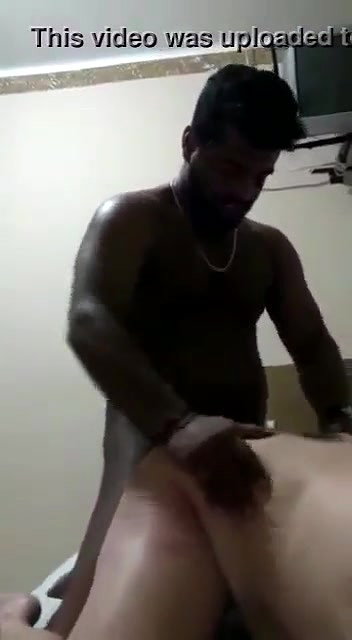 Doggy in hotel