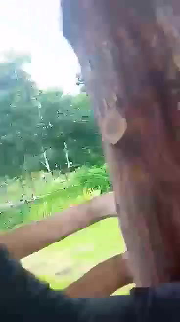 Bhabhi in park with lover, he playing with her boob