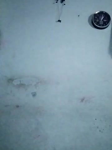 Stripchat-Public.Show-c-Sexynageena-2025.02.07.192720