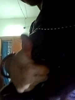 Stripchat-Public.Show-c-Sexynageena-2025.04.02.084458