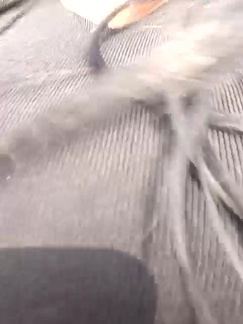 Stripchat-Public.Show-f-Kanak_5-2025.01.17.092952