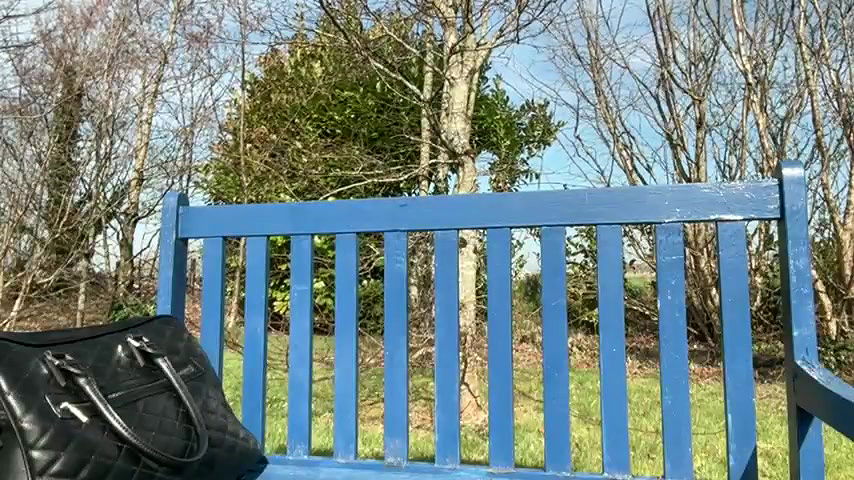 Stripchat-Public.Show-f-winterforu-2025.03.09.115227