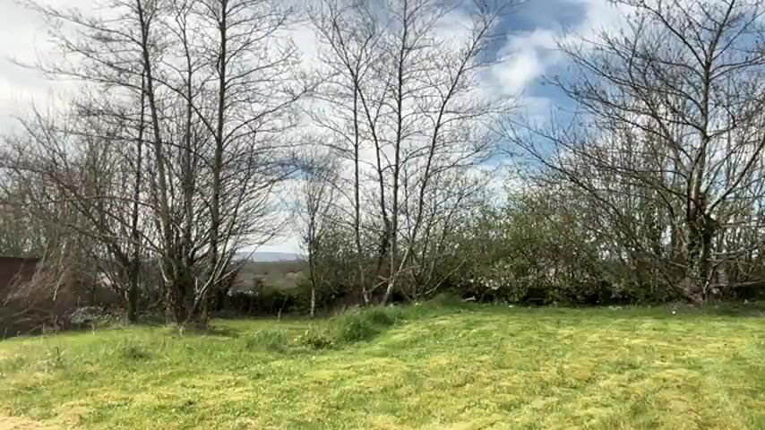 Stripchat-Public.Show-f-winterforu-2025.04.01.131916